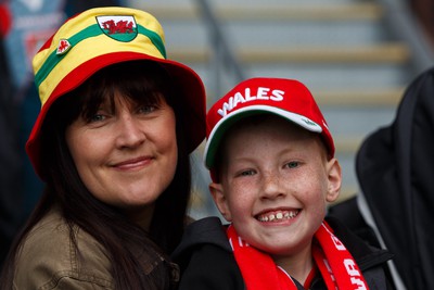 050622 -  Wales v Ukraine, World Cup Qualifying Play Off Final - Wales fans before the match