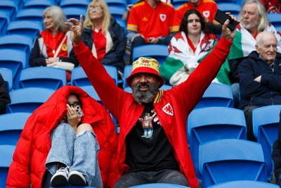 050622 -  Wales v Ukraine, World Cup Qualifying Play Off Final - Wales fans before the match