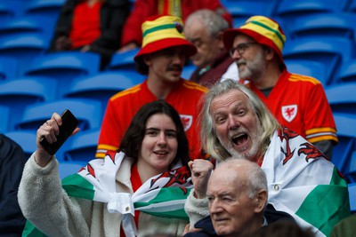 050622 -  Wales v Ukraine, World Cup Qualifying Play Off Final - Wales fans before the match