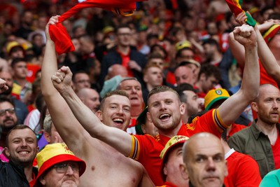 050622 -  Wales v Ukraine, World Cup Qualifying Play Off Final - Wales fans and supporters celebrate after the final whistle