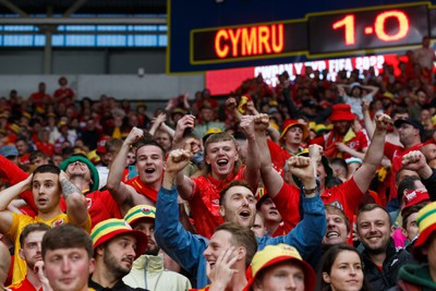 050622 -  Wales v Ukraine, World Cup Qualifying Play Off Final - Wales fans and supporters celebrate after the final whistle