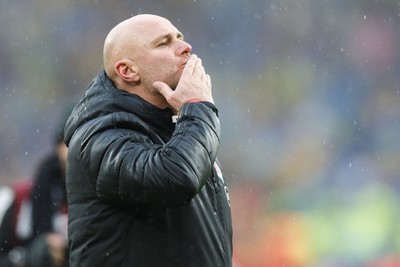 050622 -  Wales v Ukraine, World Cup Qualifying Play Off Final - Wales head coach Rob Page celebrates after the final whistle