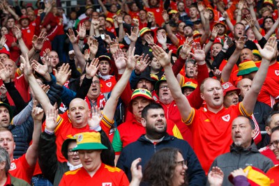 050622 -  Wales v Ukraine, World Cup Qualifying Play Off Final - Wales fans and supporters before the match