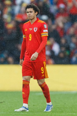 050622 -  Wales v Ukraine, World Cup Qualifying Play Off Final - Brennan Davies of Wales