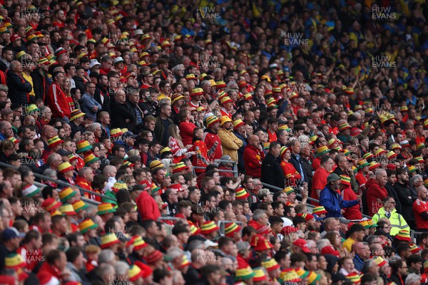 050622 -  Wales v Ukraine, World Cup Qualifying Play Off Final - Wales fans watch on