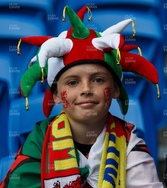 050622 -  Wales v Ukraine, World Cup Qualifying Play Off Final - A Wales fan before the match
