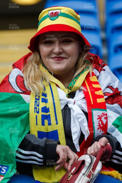 050622 -  Wales v Ukraine, World Cup Qualifying Play Off Final - A Wales fan before the match