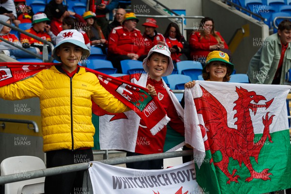 050622 -  Wales v Ukraine, World Cup Qualifying Play Off Final - Wales fans before the match