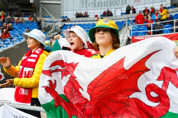 050622 -  Wales v Ukraine, World Cup Qualifying Play Off Final - Wales fans before the match