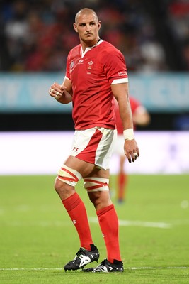 131019 - Wales v Uruguay - Rugby World Cup - Pool D - Aaron Shingler of Wales