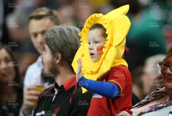 200915 - Wales v Uruguay - Rugby World Cup 2015 - Wales fans