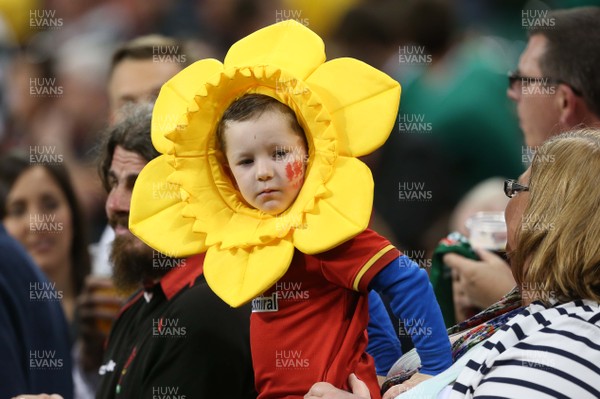 200915 - Wales v Uruguay - Rugby World Cup 2015 - Wales fans