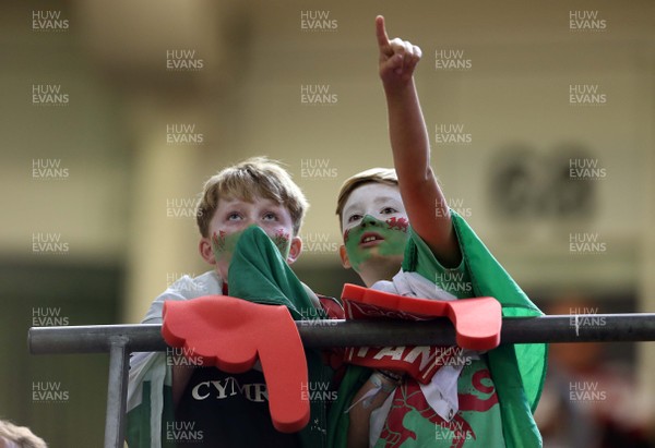 200915 - Wales v Uruguay - Rugby World Cup 2015 - Wales Fans