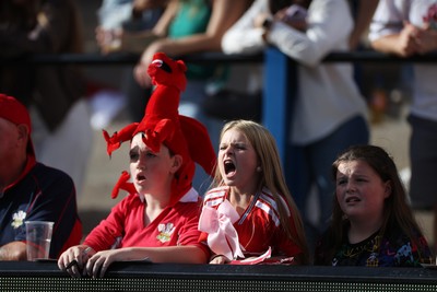 260926 - Wales Women v USA Women - Vodafone Wales WXV Series - Wales fans