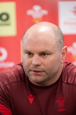 080426 - Wales Women Rugby Press Conference - Sean Lynn, Wales Women head coach, during press conference ahead of the opening Women’s 6 Nations match against Scotland