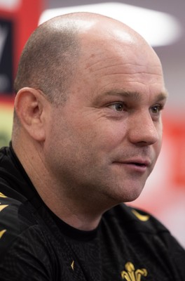 200325  Wales Women Rugby Press Conference - Wales Women’s head coach Sean Lynn during press conference ahead of the opening Women’s 6 Nations match against Scotland