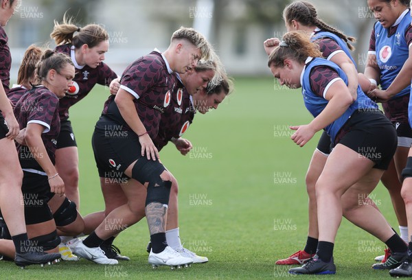 161023 - Wales Women Rugby Training Session - Donna Rose, Kelsey Jones and Abbey Constable prepare to scrum during a training session at NZCIS ahead of their first WXV1 match against Canada in Wellington 