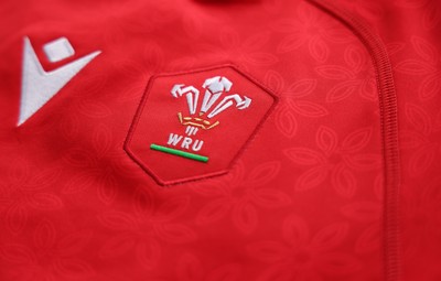 150725 - Wales Women Women’s Rugby World Cup 2025 Kit Launch, National Botanical Gardens of Wales - Wales Women’s Rugby World Cup jersey detailing