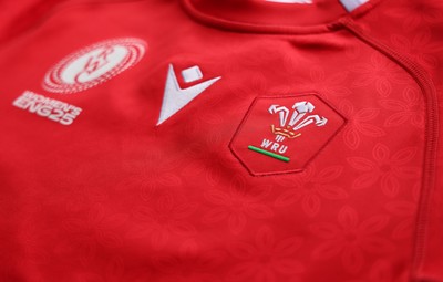 150725 - Wales Women Women’s Rugby World Cup 2025 Kit Launch, National Botanical Gardens of Wales - Wales Women’s Rugby World Cup jersey detailing