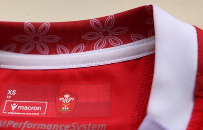 150725 - Wales Women Women’s Rugby World Cup 2025 Kit Launch, National Botanical Gardens of Wales - Wales Women’s Rugby World Cup jersey detailing