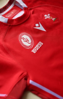 150725 - Wales Women Women’s Rugby World Cup 2025 Kit Launch, National Botanical Gardens of Wales - Wales Women’s Rugby World Cup jersey detailing
