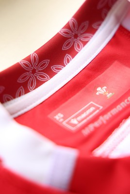 150725 - Wales Women Women’s Rugby World Cup 2025 Kit Launch, National Botanical Gardens of Wales - Wales Women’s Rugby World Cup jersey detailing