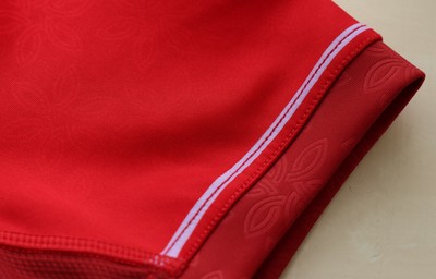 150725 - Wales Women Women’s Rugby World Cup 2025 Kit Launch, National Botanical Gardens of Wales - Wales Women’s Rugby World Cup jersey detailing