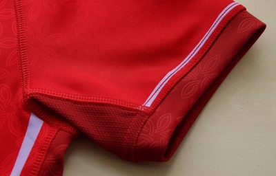 150725 - Wales Women Women’s Rugby World Cup 2025 Kit Launch, National Botanical Gardens of Wales - Wales Women’s Rugby World Cup jersey detailing
