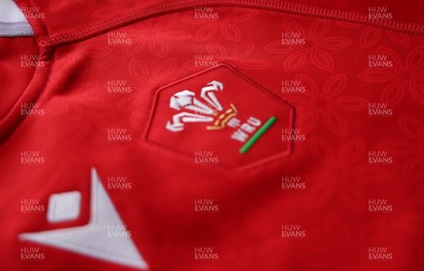 150725 - Wales Women Women’s Rugby World Cup 2025 Kit Launch, National Botanical Gardens of Wales - Wales Women’s Rugby World Cup jersey detailing