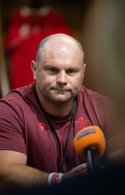 120825 - Wales Women Rugby World Cup Media Conference - Sean Lynn, Wales Women head coach, during a media conference at The Principality Stadium ahead of the Rugby World Cup
