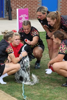 180825 - Wales Women Training Session - Keira Bevan, Alex Callendar, Courtney Keight, Lisa Neumann and Lleucu George meet a four legged fan during a Wales Women training session ahead of their first Women’s Rugby World Cup match against Scotland