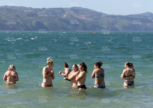 191023 - Wales Women Rugby Sea Recovery - Wales Women rugby players take a sea recovery session in Oriental Bay, Wellington after training ahead of Wales’ opening match of WXV1 against Canada