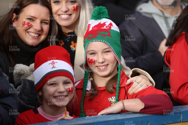 131121 - Wales Women v South Africa Women - Autumn Internationals - Fans