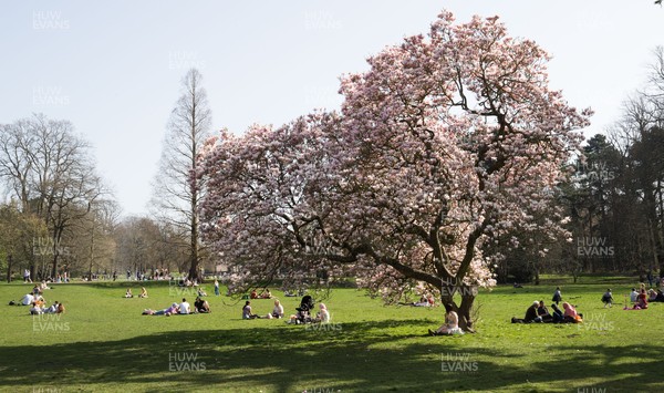 300321 Warm weather, Cardiff - People enjoy the warm weather and the fact that lockdown regulations have been eased in Wales as they gather with family and friends in Bute Park, Cardiff