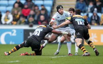 Wasps v Cardiff Blues 010215