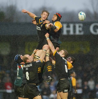 Wasps v Celtic Warriors 110104