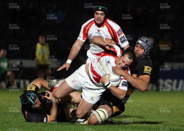 131012 London Wasps v Dragons - Amlin Challenge Cup - Dan Evans of Dragons is brought down by the Wasps defence 