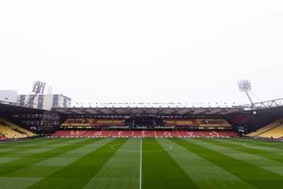 Watford v Cardiff City 291224