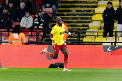 120325 - Watford v Swansea City - Sky Bet League Championship - Moussa Sissoko of Watford celebrates after scoring a goal