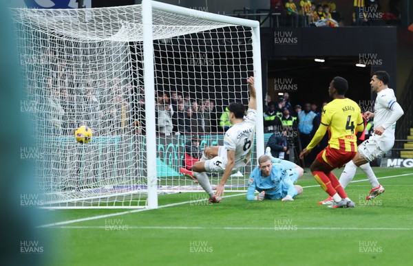 310126 - Watford v Swansea City, EFL Sky Bet Championship - Marko Stamenic of Swansea City scores the opening goal