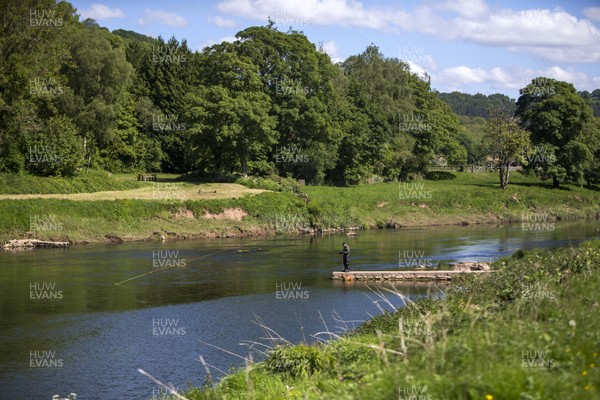 140520 - Picture shows Cledwyn Davies salmon fishing on the picturesque River Wye at Bigsweir Bridge Due to the current Covid-19 restrictions in place in Wales, the river is in a unique position as its split in two for the English and Welsh border Fisherman can travel to the river from England however only fish from the English bank, unable to walk over the bridge to the other side For further comment contact Charles 01594530073