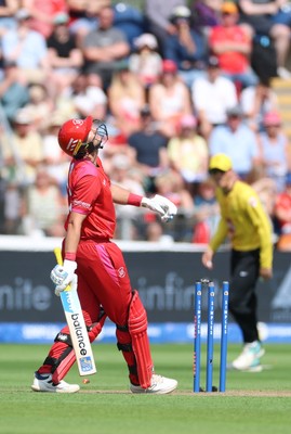 290726 - Welsh Fire Men v Trent Rockets Men, The Hundred - Joe Root of Welsh Fire reacts as he is dismissed