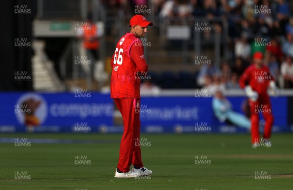 250726 - Welsh Fire v MI London - The Hundred - Joe Root of Welsh Fire