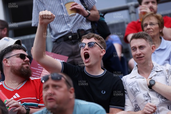 250726 - Welsh Fire v MI London - The Hundred - Fans