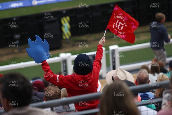 250726 - Welsh Fire v MI London - The Hundred - Fans