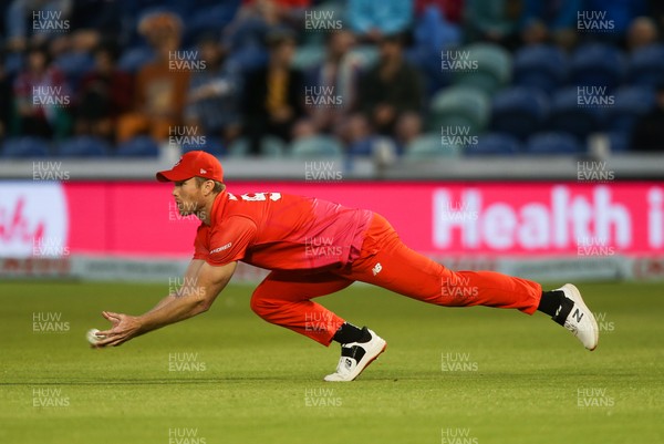 060821 - Welsh Fire v Trent Rockets, The Hundred - Jimmy Neesham of Welsh Fire dives to catch Dawid Malan of Trent Rockets