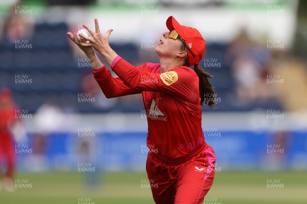 030826 - Welsh Fire Women v Southern Brave Women - The Hundred - Freya Kemp of Welsh Fire catches the ball to dismiss Maia Bouchier