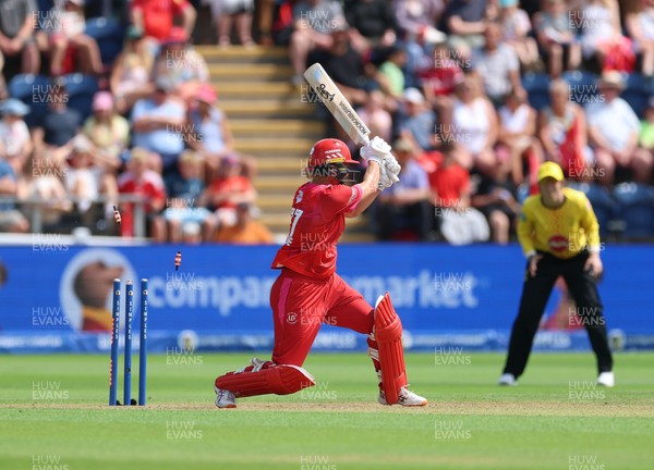 290726 - Welsh Fire Women v Trent Rockets Women, The Hundred - Sophie Devine of Welsh Fire is bowled by Charley Phillips of Trent Rockets