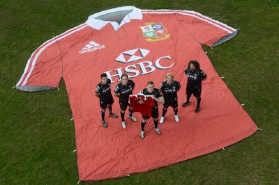 Welsh Lions 300413