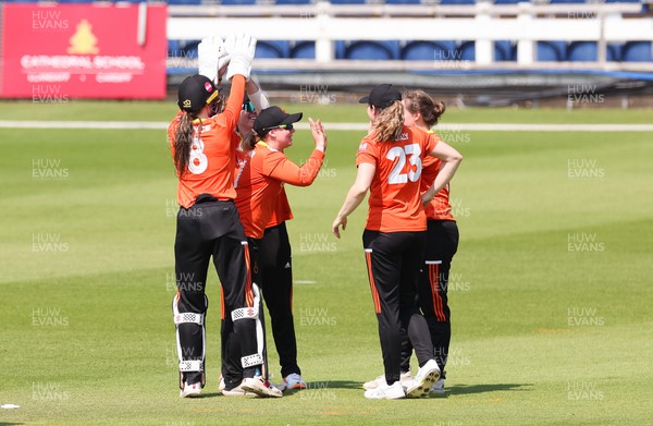 070623 - Western Storm v The Blaze, Charlotte Edwards Cup - The Blaze celebrate taking the wicket of Niamh Holland of Western Storm